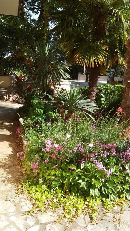 Apartments Barbara Rovinj Dış mekan fotoğraf